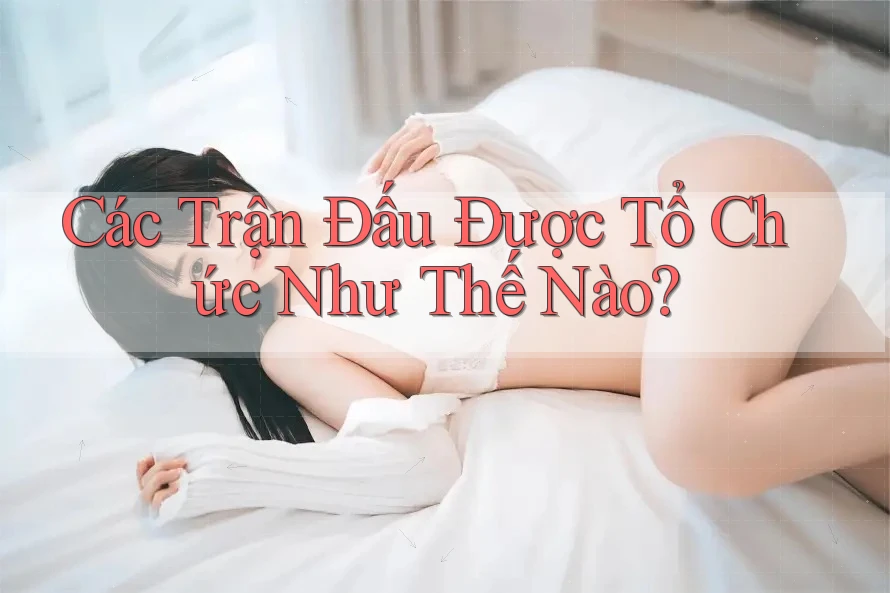 Các Trận Đấu Được Tổ Chức Như Thế Nào?