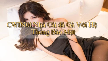 cwin01  nhà cái đá gà với hệ thống bảo mật