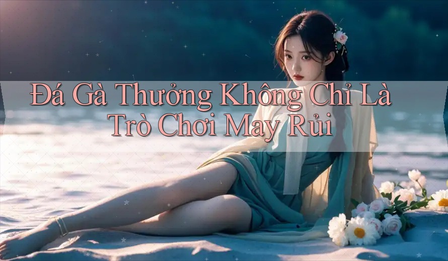 Đá Gà Thưởng Không Chỉ Là Trò Chơi May Rủi