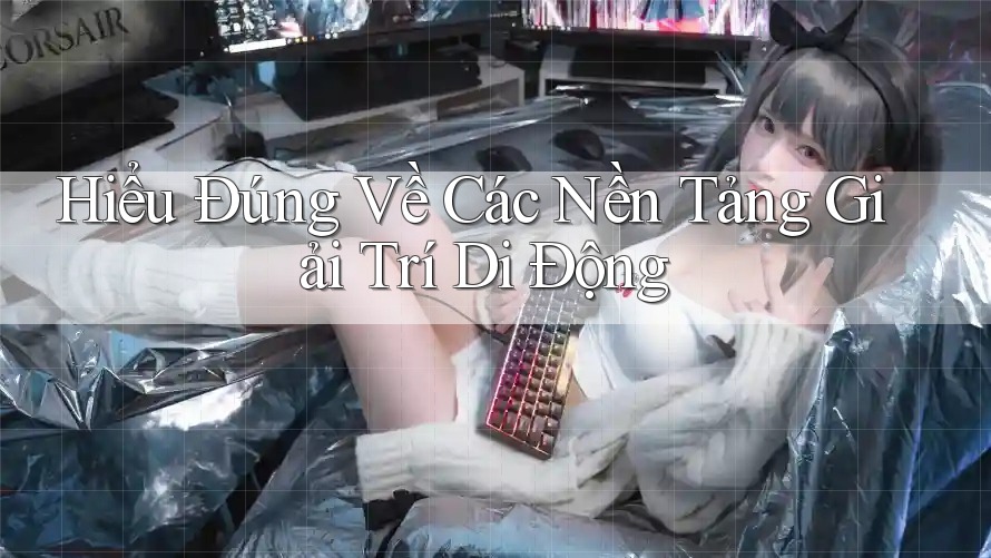 Hiểu Đúng Về Các Nền Tảng Giải Trí Di Động